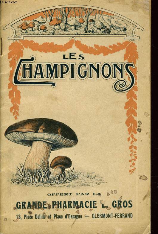 LES CHAMPIGNONS