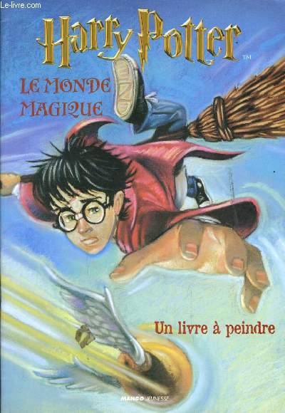 HARRY POTTER le monde magique (un livre  peindre)