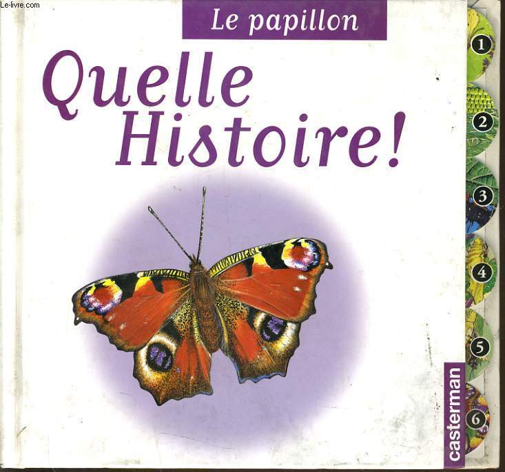 LES PAPILLONS QUELLE HISTOIRE !