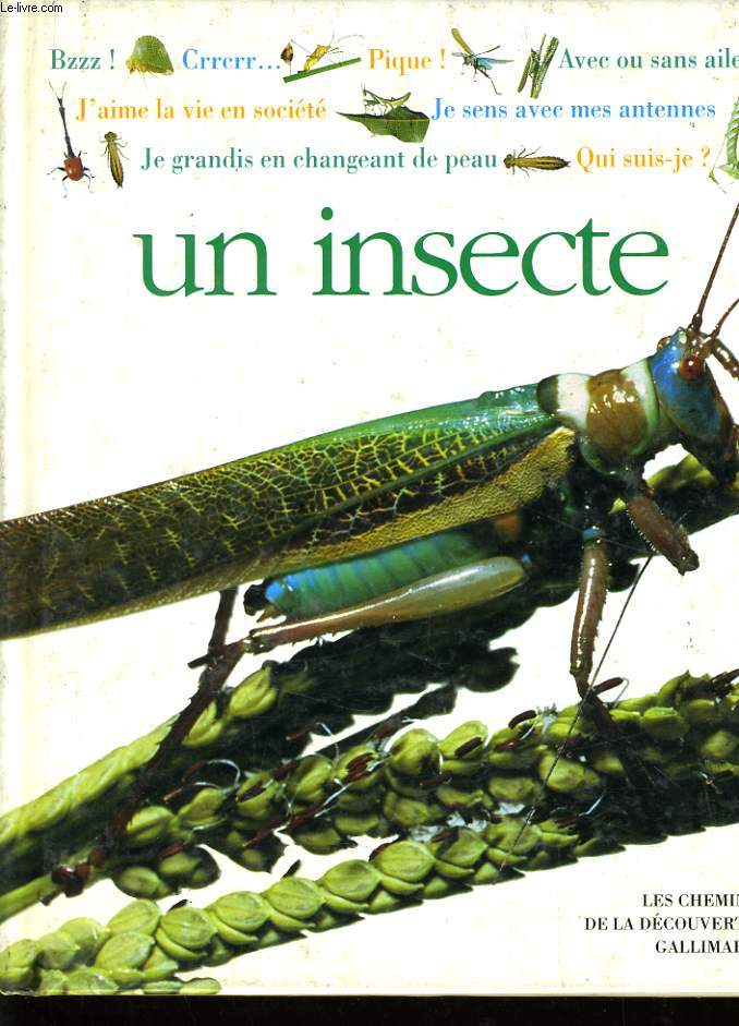 UN INSECTE