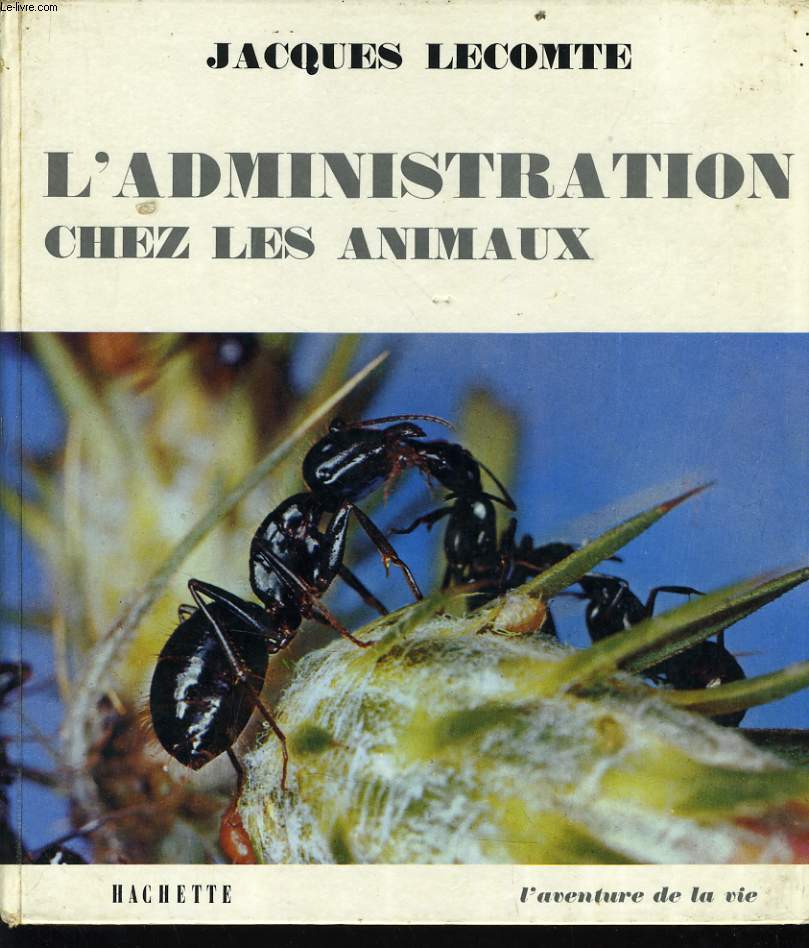 L'ADMINISTRATION CHEZ LES ANIMAUX