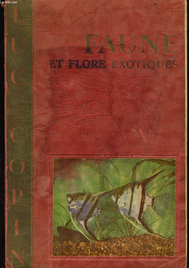 FAUNE ET FLORE EXOTIQUES