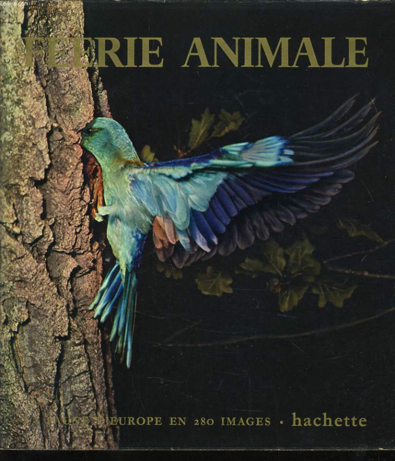 FEERIE ANIMALE la faune d'Europe