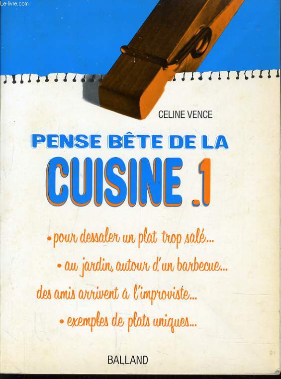 PENSE BETE DE LA CUISINE n1 - pour dessaler un plat trop sal, au jardin, autour d'un barbecue, des amies arrivent  l'improviste, exemples de plats uniques