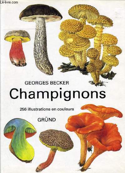 CHAMPIGNONS