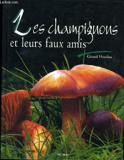 LES CHAMPIGNONS ET LEURS FAUX AMIS