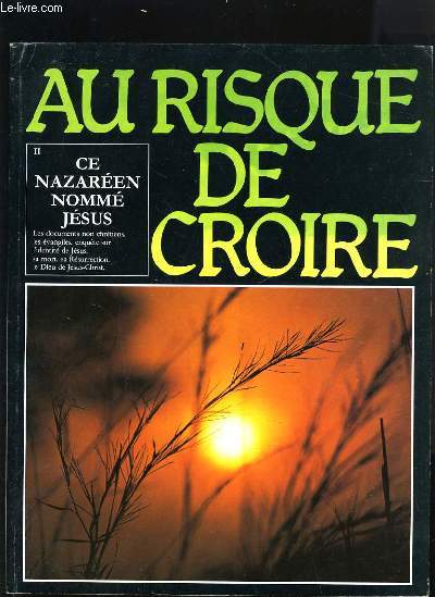AU RISQUE DE CROIRE - TOME 2 - CE NAZAREEN NOMME JESUS