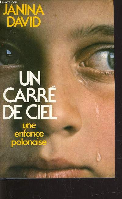 UN CARRE DE CIEL.
