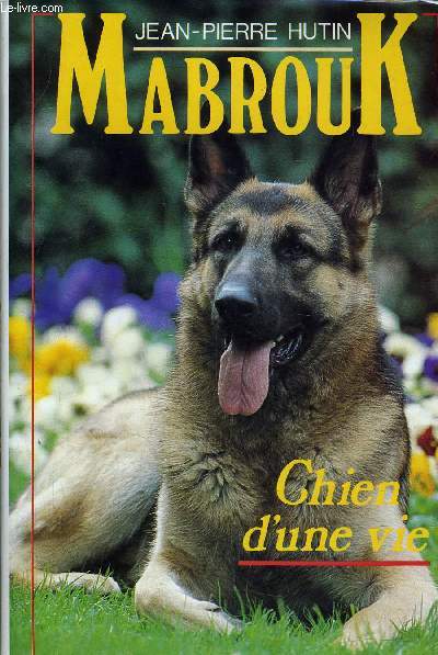 MABROUK - CHIEN D'UNE VIE.
