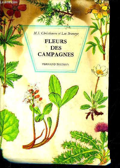 FLEURS DES CAMPAGNES.