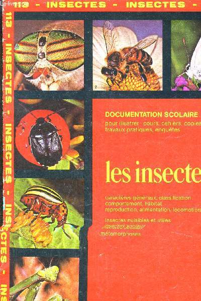 DOCUMENTATION SCOLAIRE POUR ILLUSTRER COURS CAHIERS COPIES TRAVAUX PRATIQUES ENQUETES - LES INSECTES.