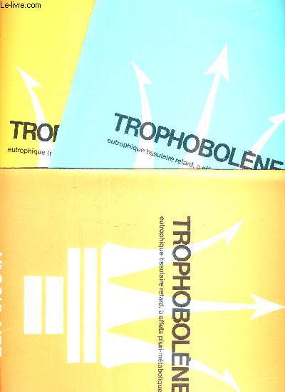 LOT DE DIVERS DOCUMENTS DE THERAMEX 