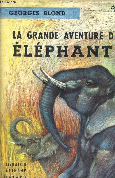 LA GRANDE AVENTURE DES ELEPHANTS.