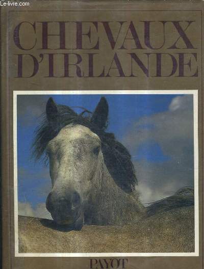 CHEVAUX D'IRLANDE.