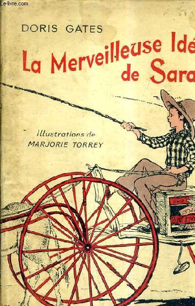 LA MERVEILLEUSES IDEE DE SARAH.