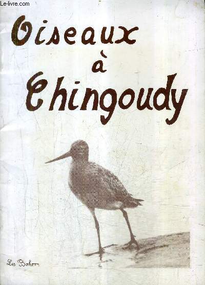 OISEAUX A CHINGOUDY.