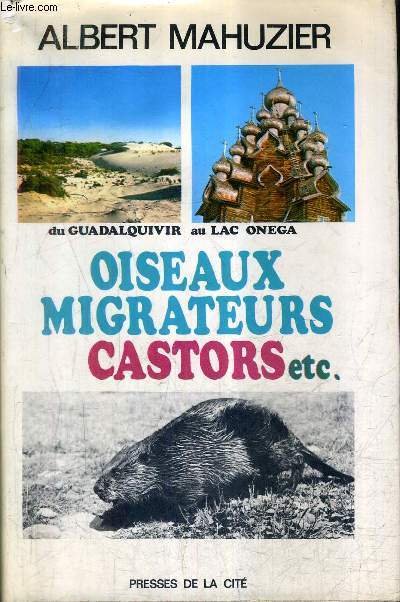 OISEAUX MIGRATEURS CASTORS DE GUADALQUIVIR AU LAC ONEGA.