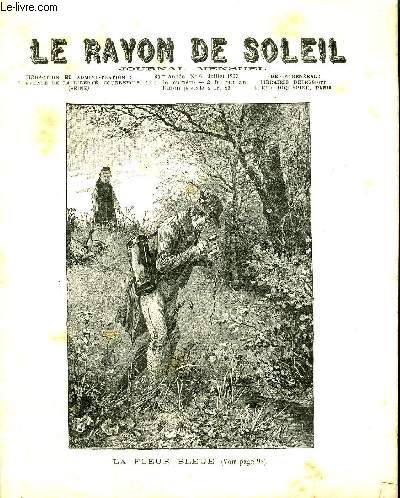 JOURNAL MENSUEL LE RAYON DE SOLEIL 34EME ANNEE N6 JUILLET 1907 - LA FLEUR BLEUE - - Le chat et l'oiseau - Varits - Le don royal - La vocation de Georgette - Questions bibliques