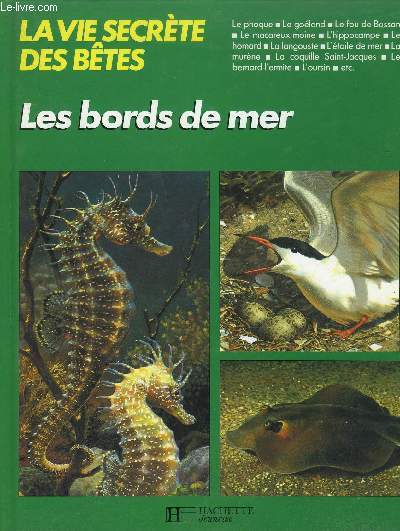 LA VIE SECRETE DES BETES - LES BORDS DE MER - Le phoque - Le goland - Le fou de Bassan - Le macareux-moine - L'hyppocampe - Le homard - La langouste - l'toile de mer - La murne - La coquille Saint-Jacques - Le bernard-l'ermite - L'oursin...