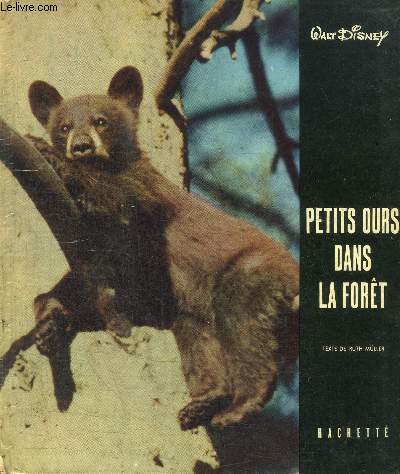 PETITS OURS DANS LA FORET