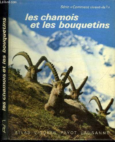 LES CHAMOIS ET LES BOUQUETINS