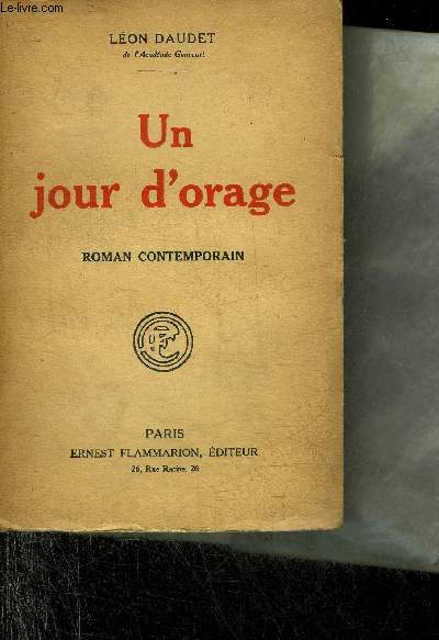 UN JOUR D'ORAGE - ROMAN CONTEMPORAIN.