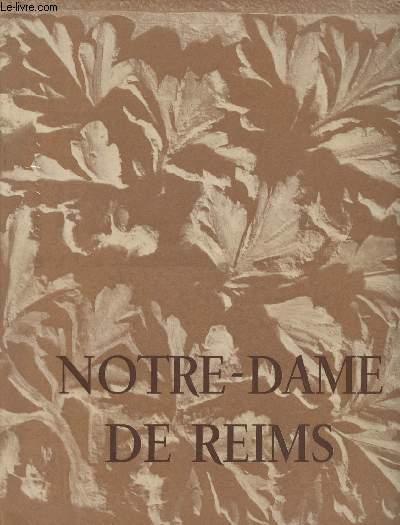 Notre-Dame de Reims - collection 