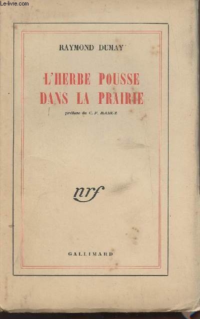 L'herbe pousse dans la prairie