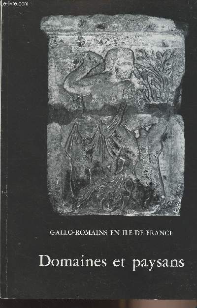 Gallo-romains en Ile-de-France - Domaines et paysans