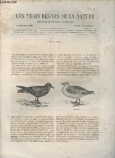 Les trois rgnes de la nature - Lectures d'histoire naturelle n155 - 15 dcembre 1866 - Ptrels (suite)