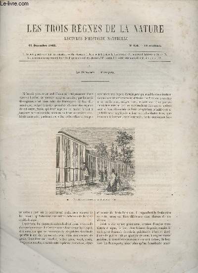 Les trois rgnes de la nature - Lectures d'histoire naturelle n156 - 22 dcembre 1866 - Les psittacids - Perroquets