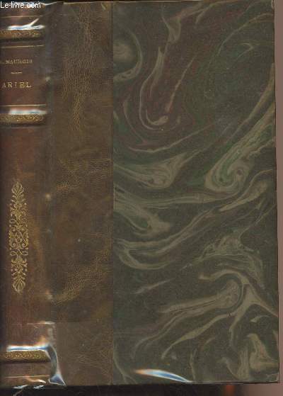 Ariel ou la vie de Shelley