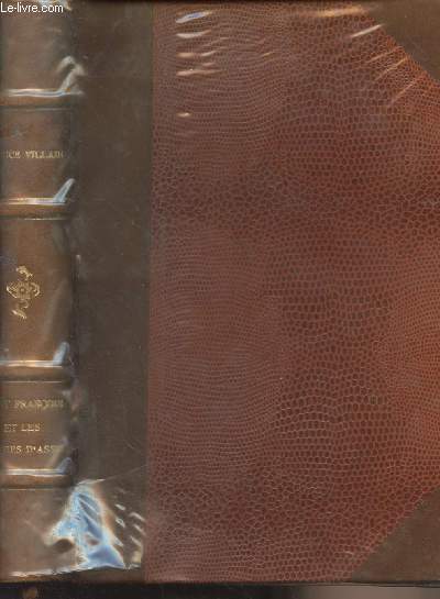 Saint Franois et les peintres d'Assise
