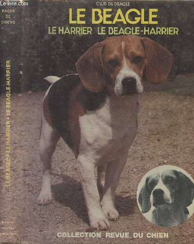 Le Beagle - Le harrier - Le beagle-harrier