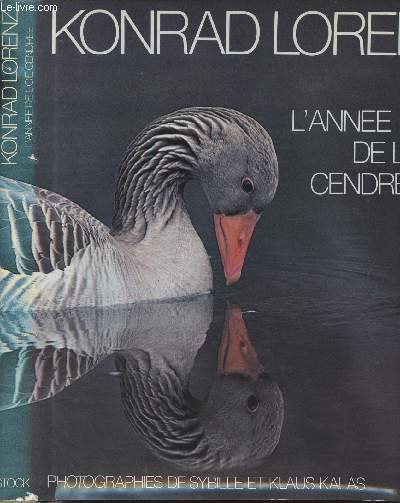 L'anne de l'oie cendre