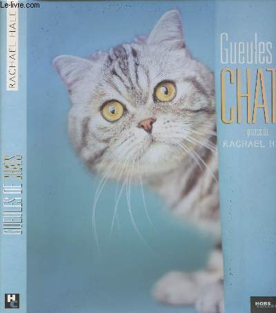 Gueules de chats