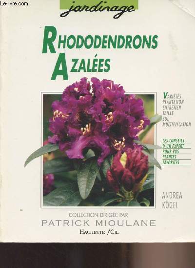 Rhododendrons Azales - 