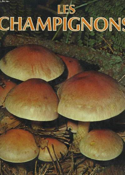 CHAMPIGNONS