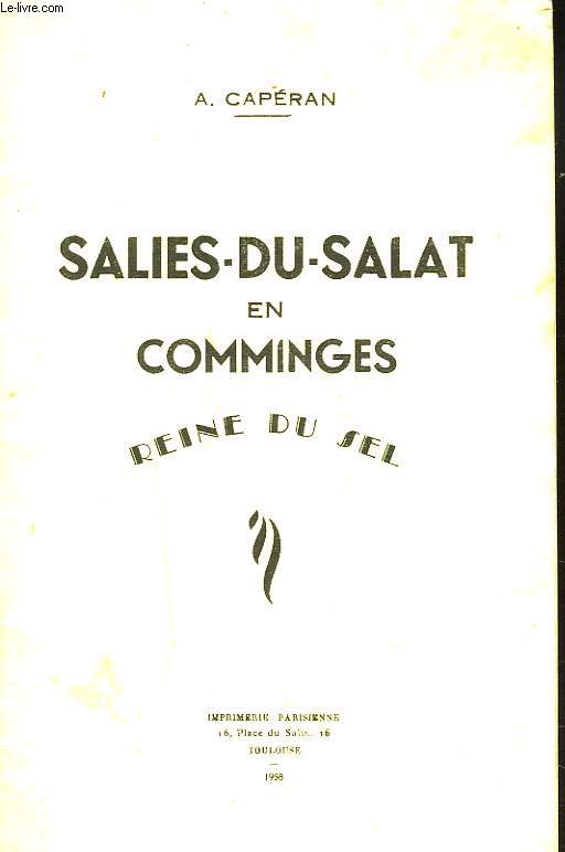 SALIES-DU-SALAT EN COMMINGES. REINE DU SEL.
