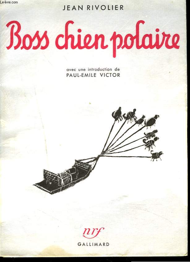 BOSS, CHIEN POLAIRE