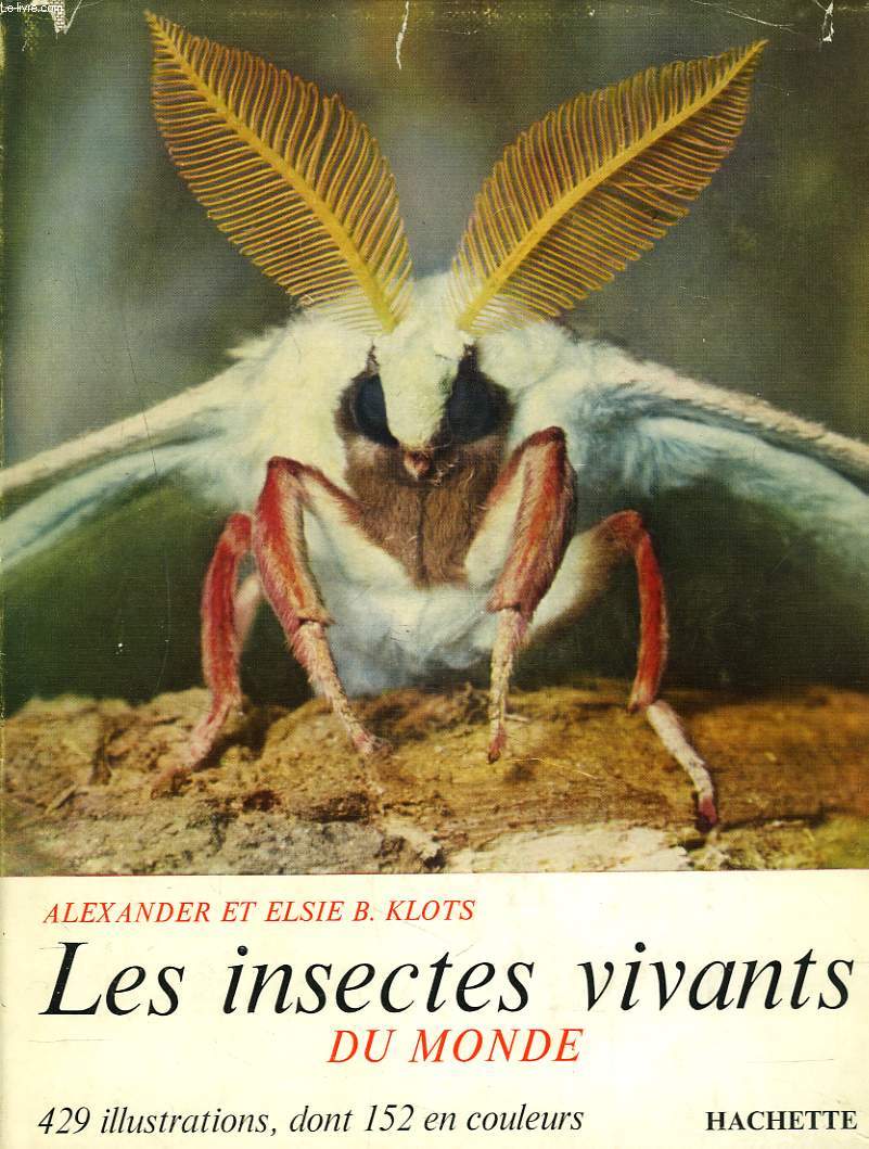 Insectes vivants