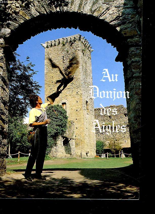 AU DONJON DES AIGLES. LES PYRENEES DU 19e SIECLE. CHATEAU DE BEAUCENS.