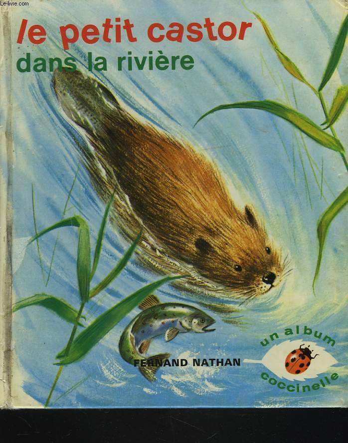 LE PETIT CASTOR DANS LA RIVIERE