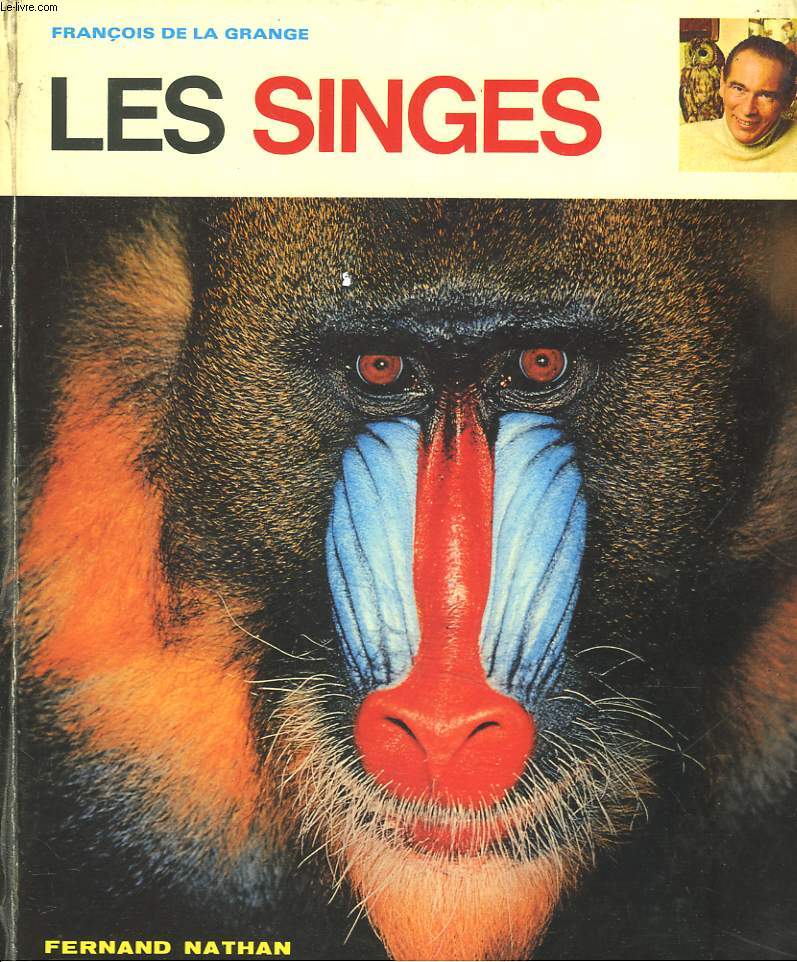 LES SINGES