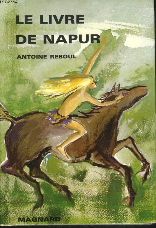LE LIVRE DE NAPUR