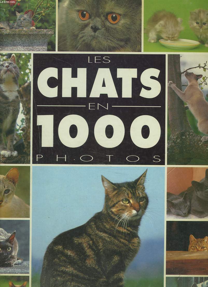 LES CHATS EN 1000 PHOTOS.