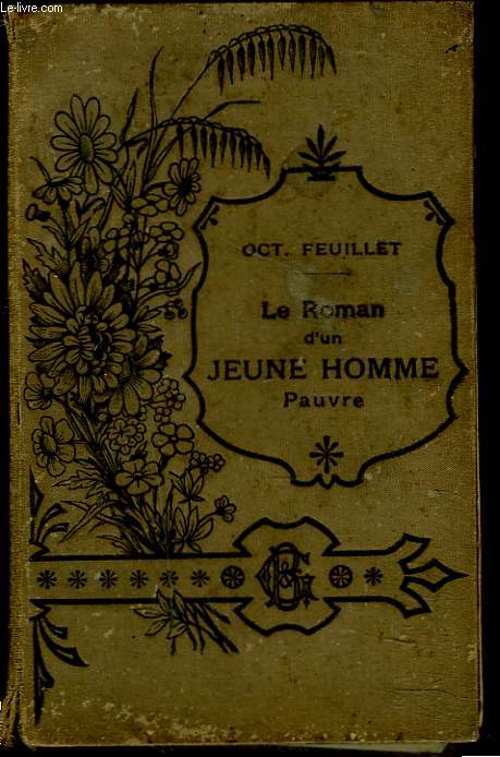LE ROMAN D'UN JEUNE HOMME PAUVRE
