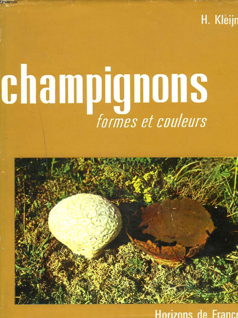 CHAMPIGNONS. FORMES ET COULEURS.