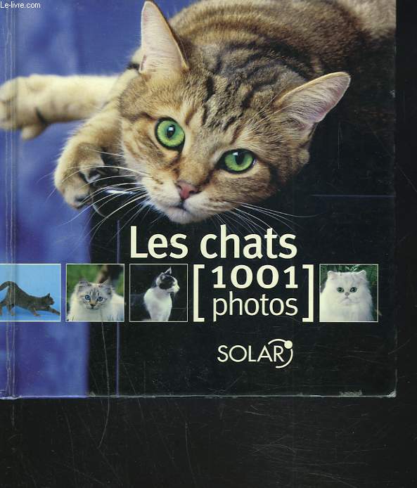 LES CHATS. 1001 PHOTOS.