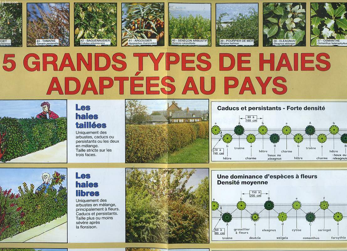 AFFICHE : 5 GRANDS TYPES DE HAIES ADAPTEES AU PAYS.